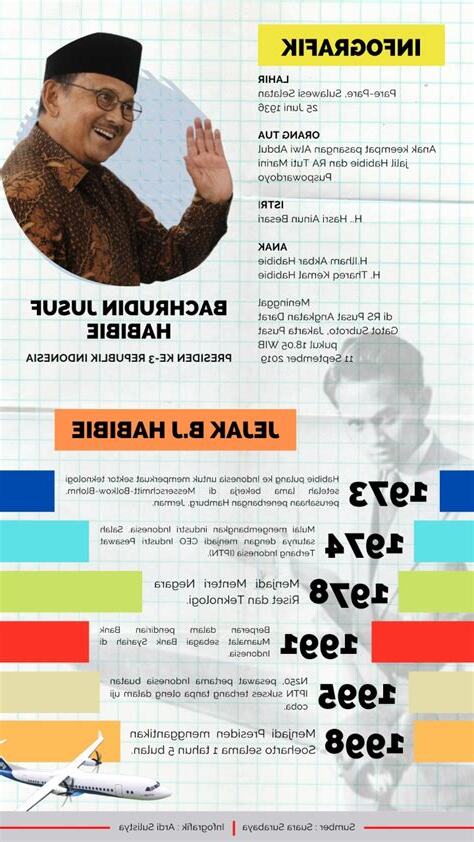 infografik 意思